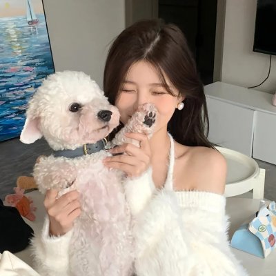 狗的生涯